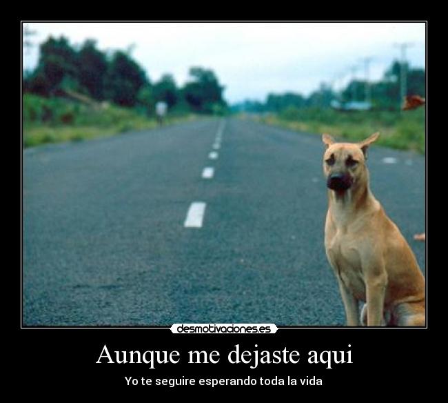 Aunque me dejaste aqui - 