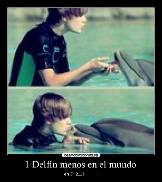 1 Delfín menos en el mundo -