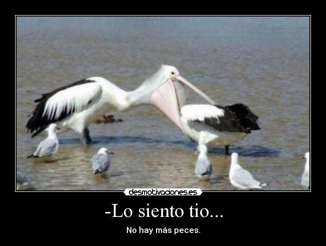 -Lo siento tio... - No hay más peces.