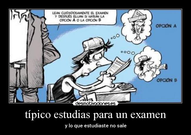 típico estudias para un examen - 
