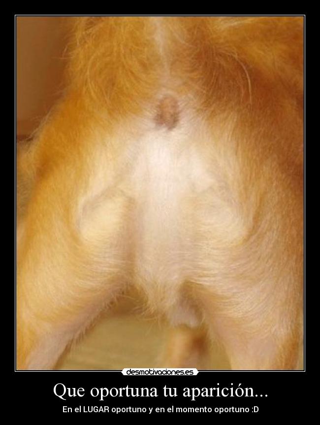 carteles qwertu desmotivaciones