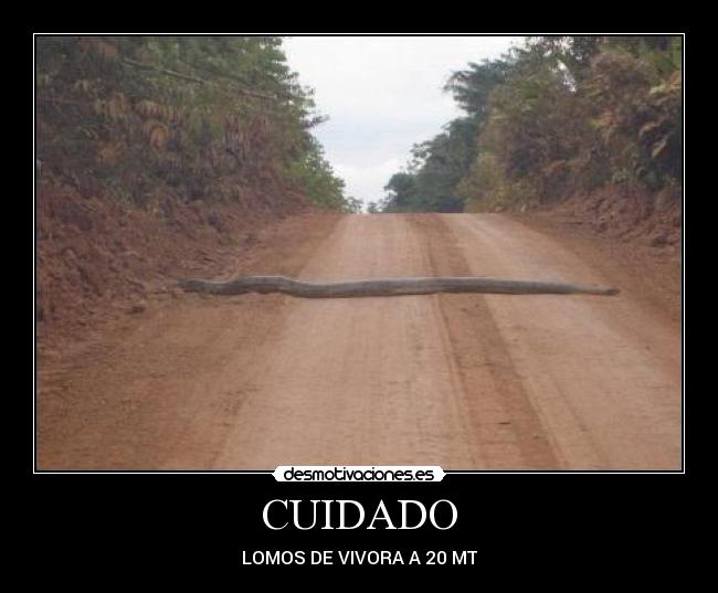 CUIDADO - 