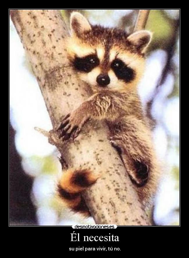 Él necesita - 