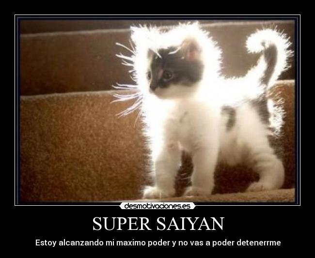 SUPER SAIYAN -