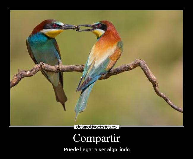 Compartir - Puede llegar a ser algo lindo
