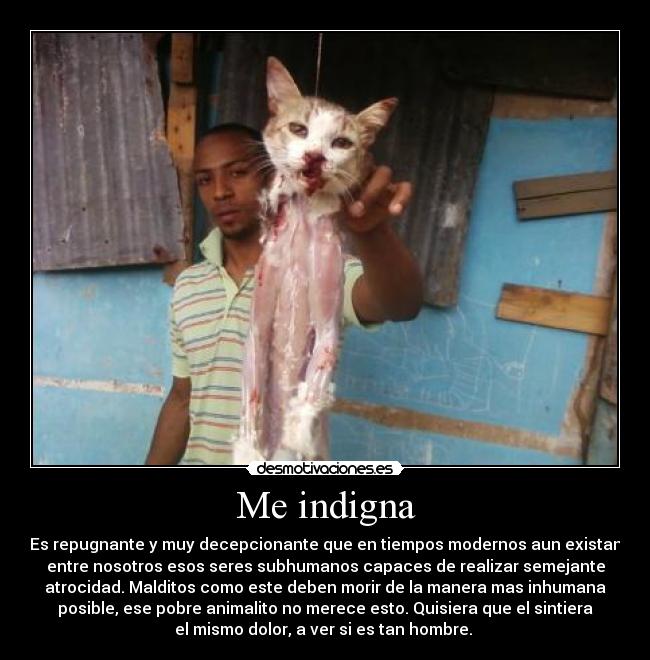 Me indigna - Es repugnante y muy decepcionante que en tiempos modernos aun existan
entre nosotros esos seres subhumanos capaces de realizar semejante
atrocidad. Malditos como este deben morir de la manera mas inhumana
posible, ese pobre animalito no merece esto. Quisiera que el sintiera
el mismo dolor, a ver si es tan hombre. 