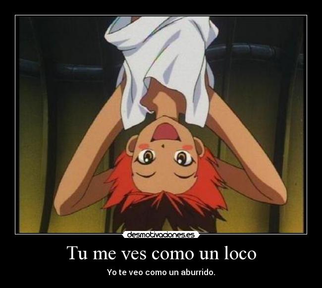 Tu me ves como un loco -