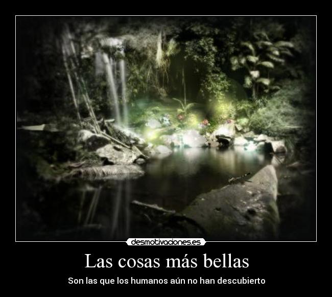 Las cosas más bellas - Son las que los humanos aún no han descubierto