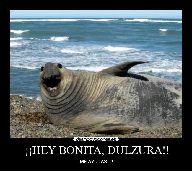 carteles hey bonita dulsura desmotivaciones