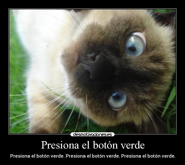 Presiona el botón verde - Presiona el botón verde. Presiona el botón verde. Presiona el botón verde.