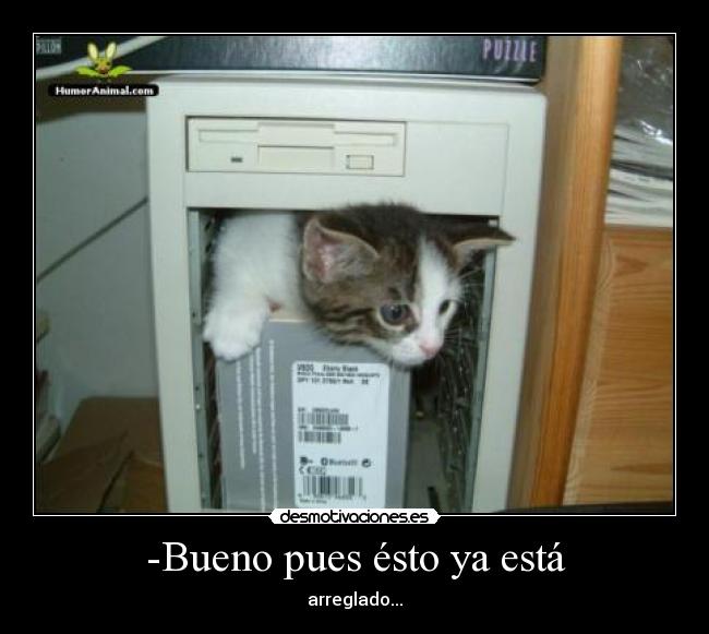 carteles gato desmotivaciones