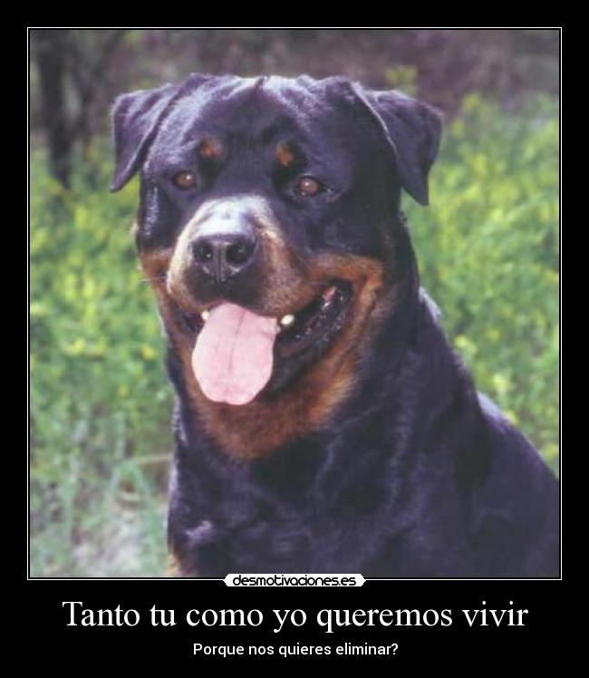 Tanto tu como yo queremos vivir -