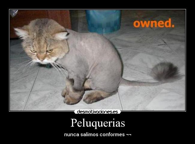 Peluquerias - 