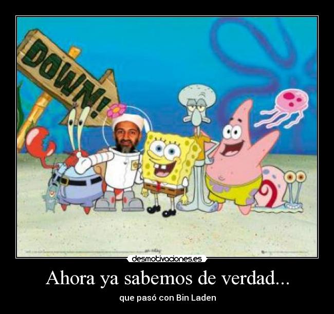 Ahora ya sabemos de verdad... - que pasó con Bin Laden