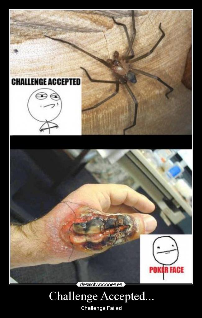 Challenge Accepted... - Challenge Failed