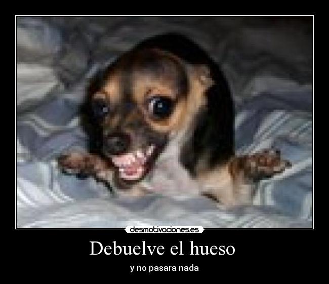 Debuelve el hueso  - 