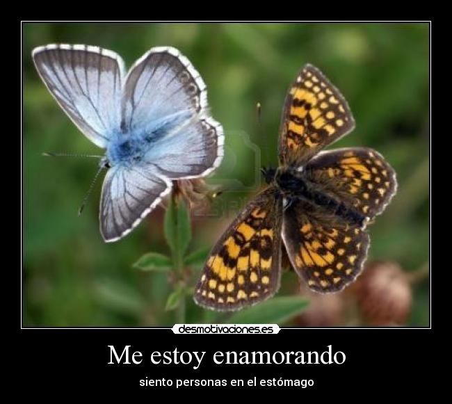 Me estoy enamorando -