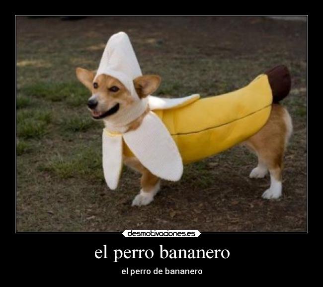el perro bananero - el perro de bananero