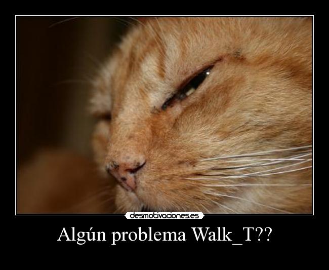 Algún problema Walk_T?? -
