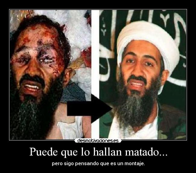 Puede que lo hallan matado... - 