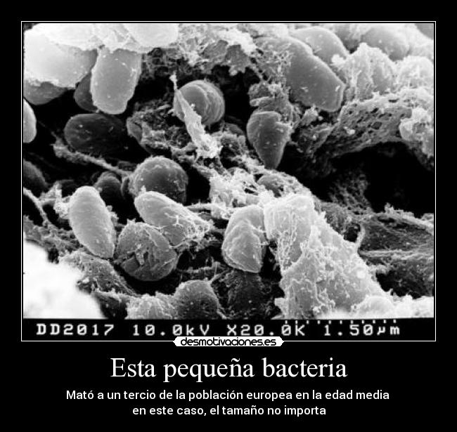 carteles peste negra desmotivaciones