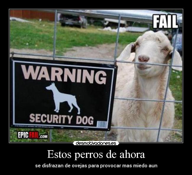 Estos perros de ahora - se disfrazan de ovejas para provocar mas miedo aun