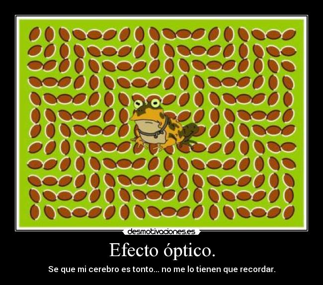 Efecto óptico. - Se que mi cerebro es tonto... no me lo tienen que recordar.