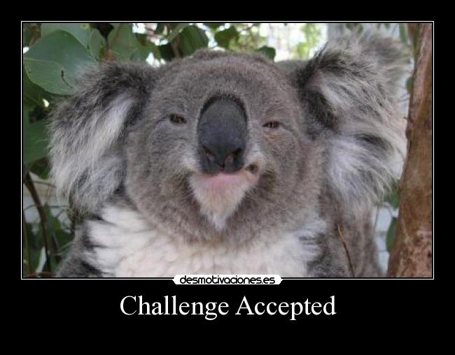 Challenge Accepted -