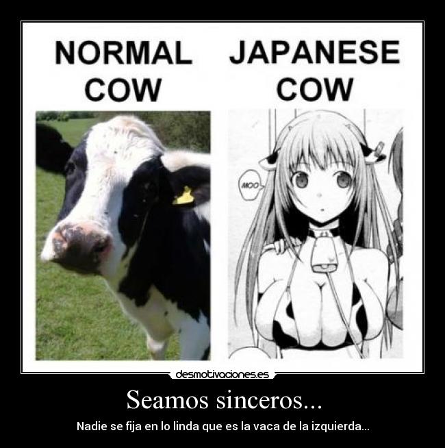 Seamos sinceros... - Nadie se fija en lo linda que es la vaca de la izquierda...