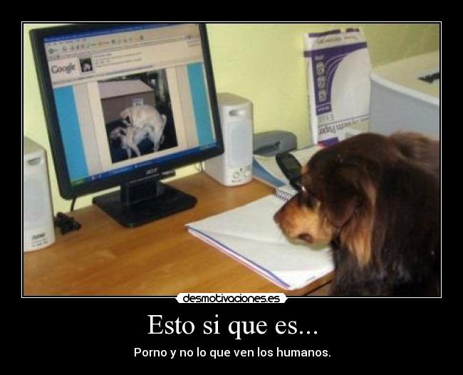 Esto si que es... - Porno y no lo que ven los humanos.