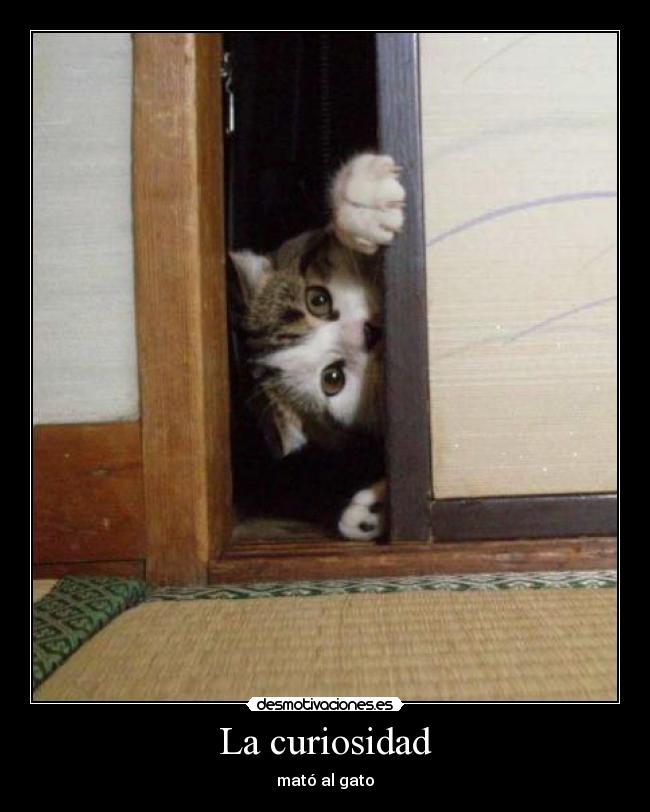 La curiosidad - mató al gato