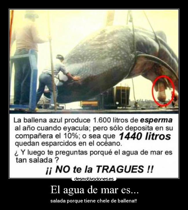 El agua de mar es... -