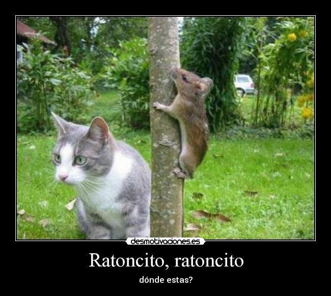 Ratoncito, ratoncito - dónde estas?