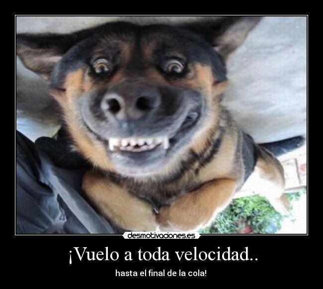 ¡Vuelo a toda velocidad.. -