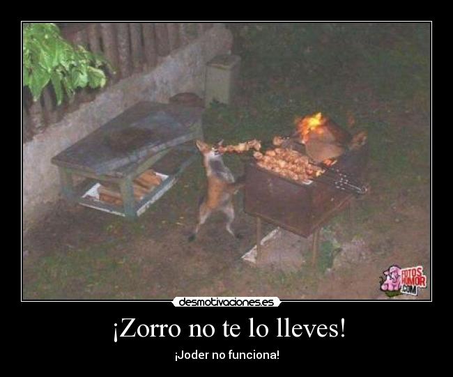 ¡Zorro no te lo lleves! - 