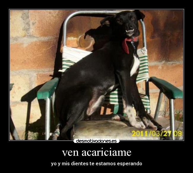 ven acariciame - 