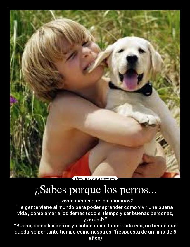 ¿Sabes porque los perros... - ...viven menos que los humanos?
la gente viene al mundo para poder aprender como vivir una buena
vida , como amar a los demás todo el tiempo y ser buenas personas,
¿verdad?
Bueno, como los perros ya saben como hacer todo eso, no tienen que
quedarse por tanto tiempo como nosotros.(respuesta de un niño de 6
años)
