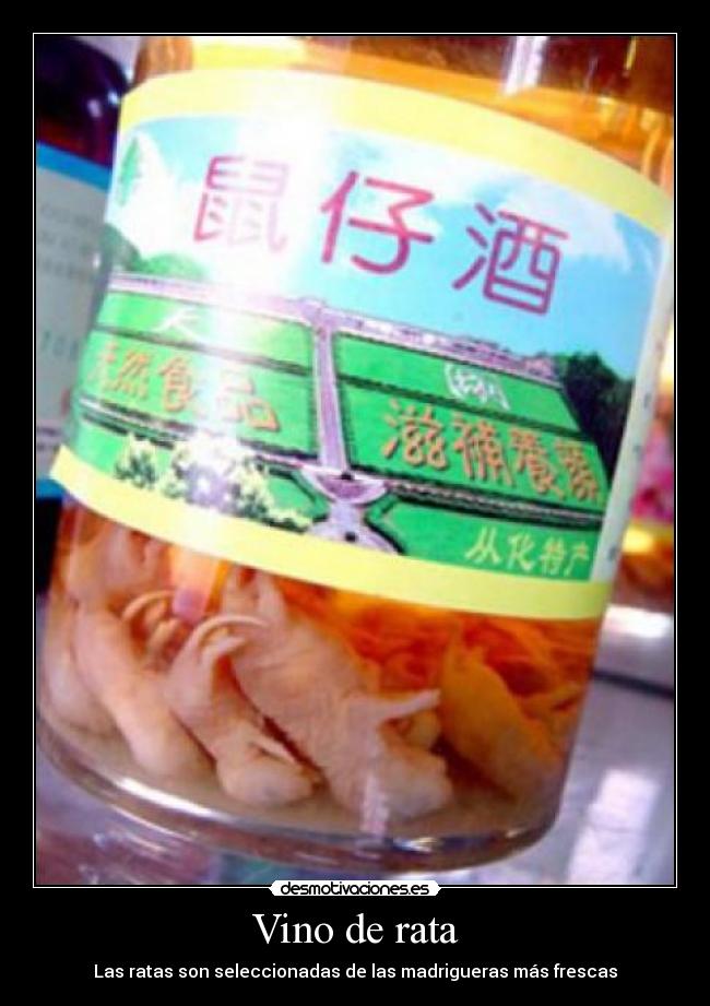 Vino de rata -
