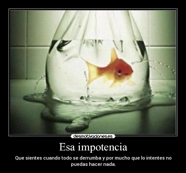 Esa impotencia - Que sientes cuando todo se derrumba y por mucho que lo intentes no
puedas hacer nada.
