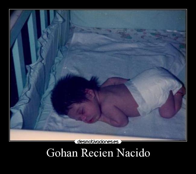 Gohan Recien Nacido -