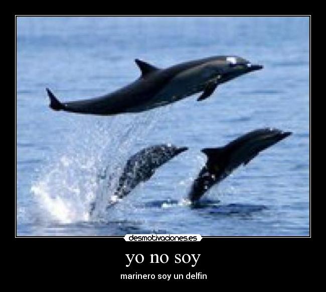 yo no soy - 