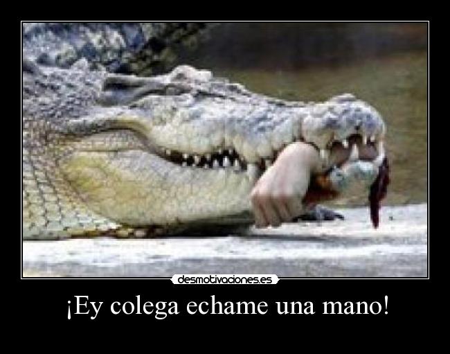 ¡Ey colega echame una mano! - 