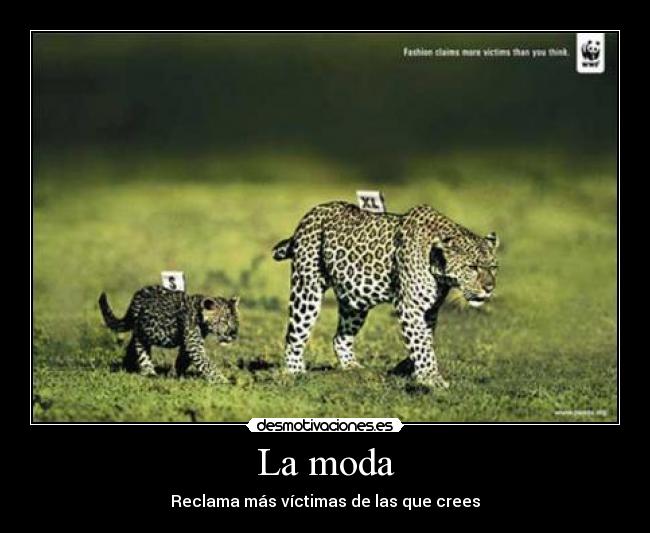 La moda - Reclama más víctimas de las que crees