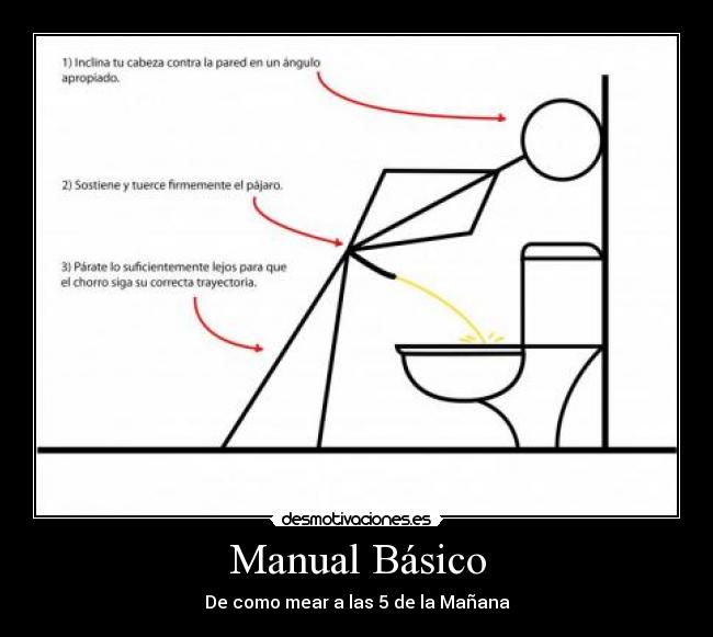 Manual Básico -