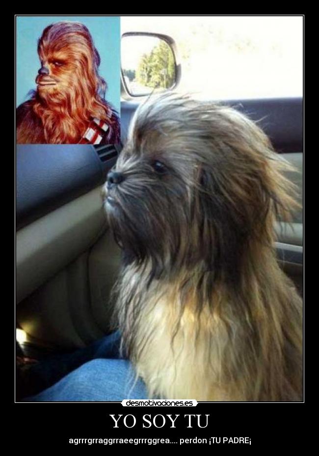 YO SOY TU - agrrrgrraggrraeegrrrggrea.... perdon ¡TU PADRE¡