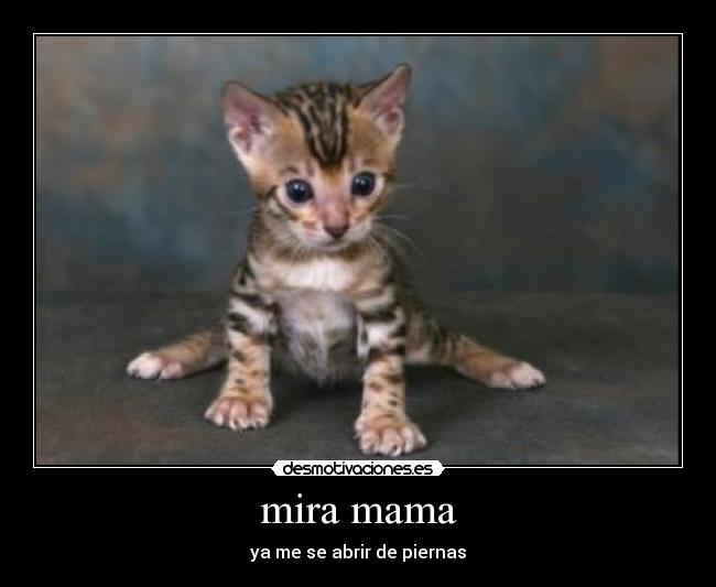 mira mama - 