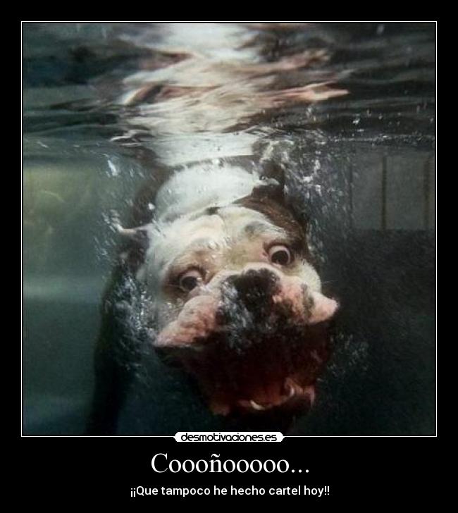 Coooñooooo... - ¡¡Que tampoco he hecho cartel hoy!!