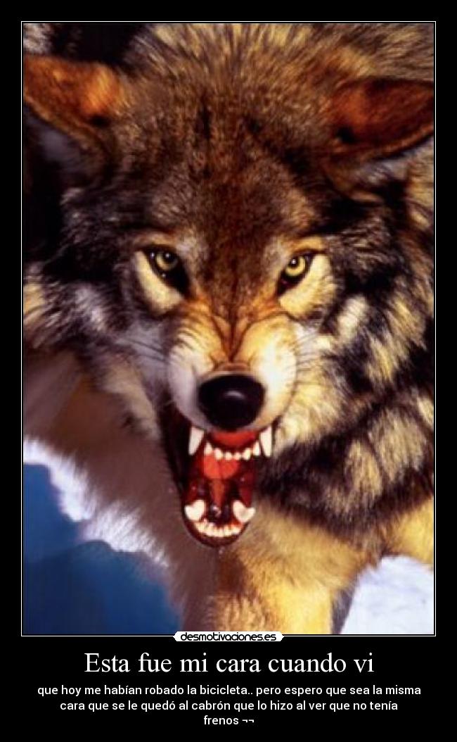 Esta fue mi cara cuando vi - 