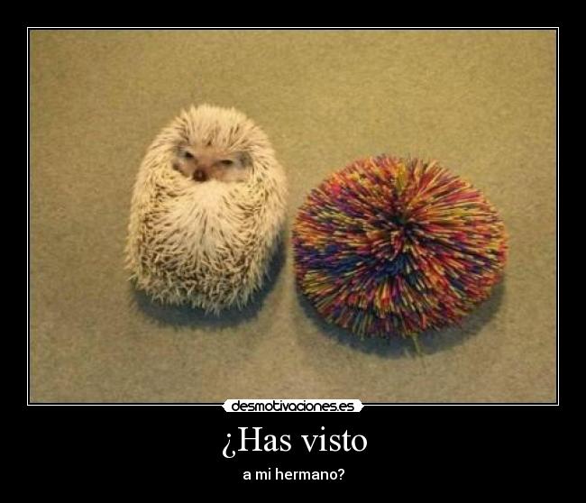 carteles hermano desmotivaciones