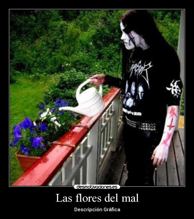 Las flores del mal - Descripción Gráfica